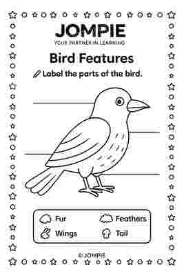 Label the features of a bird.